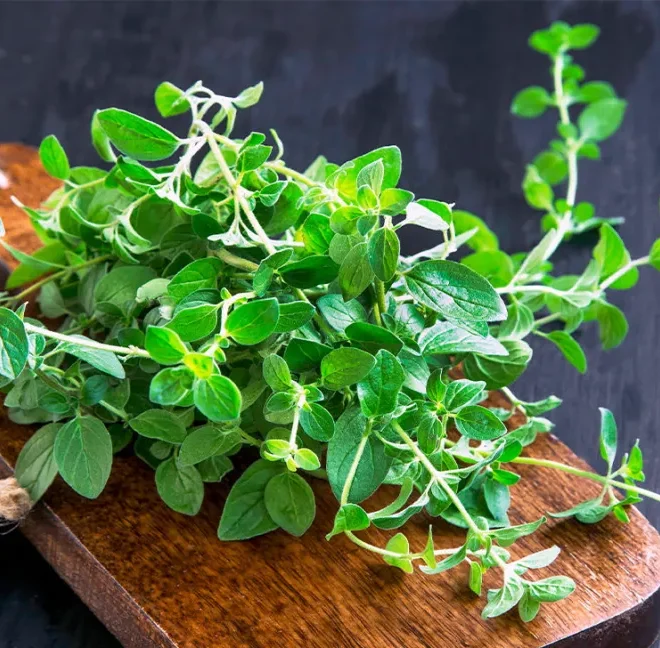 Unique Natural Antiviral Supplements: Boost Your Immune System Naturally