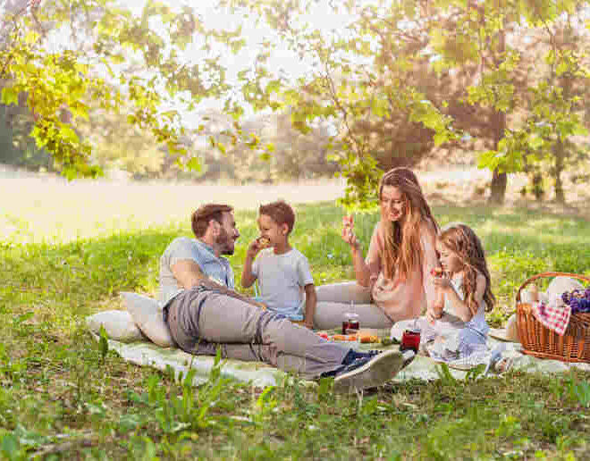 How to Plan a Perfect Picnic