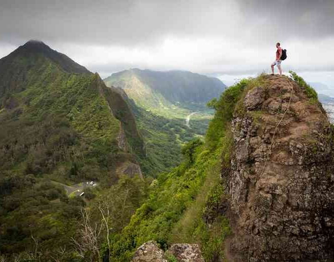 How to Stay Safe from Wildlife While Hiking