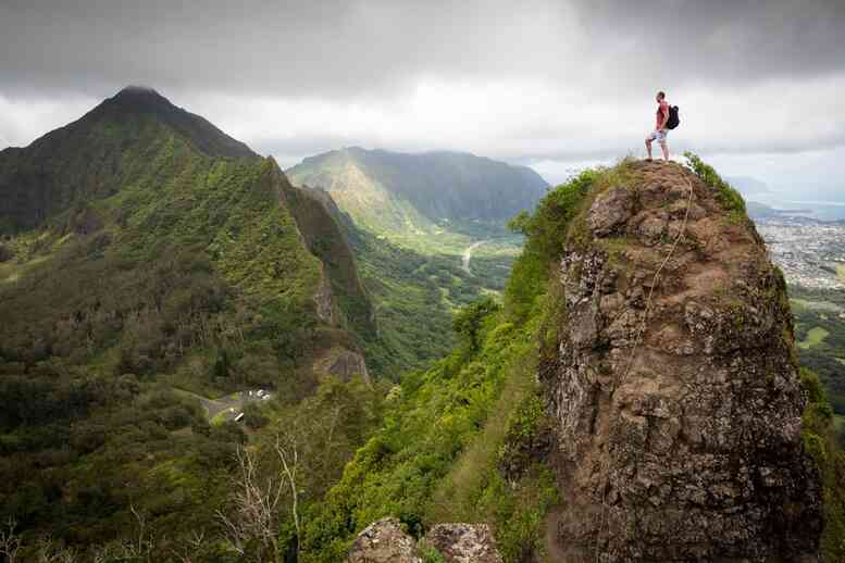 How to Stay Safe from Wildlife While Hiking