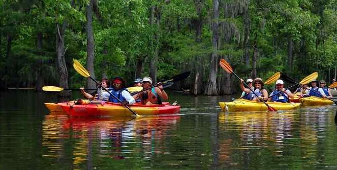 Explore Nature the Fun Way with Kayak Charleston Adventures