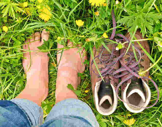 When the World Feels Loud, Choose Soft: A Gentle Guide to Inner Grounding