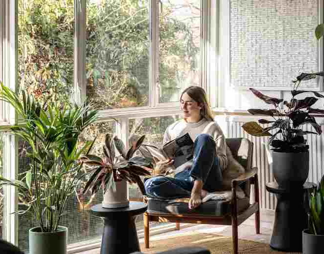 A Breath of Fresh Air: Designing a Nature-Inspired Home Office