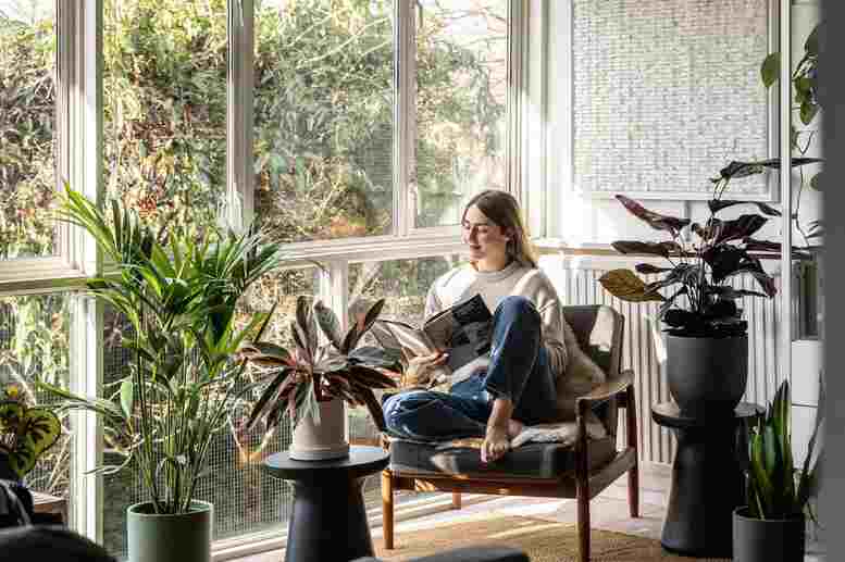 Designing a Nature-Inspired Home Office