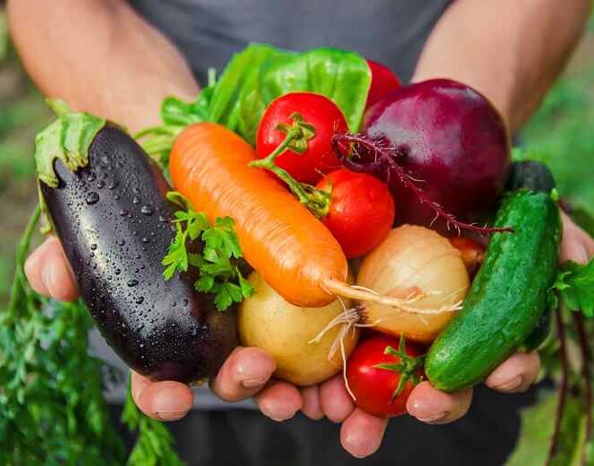 Top 10 Vegetables Every Home Gardener Should Grow