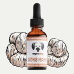 Enhance Your Dog’s Focus and Alertness with Lion’s Mane Mushroom