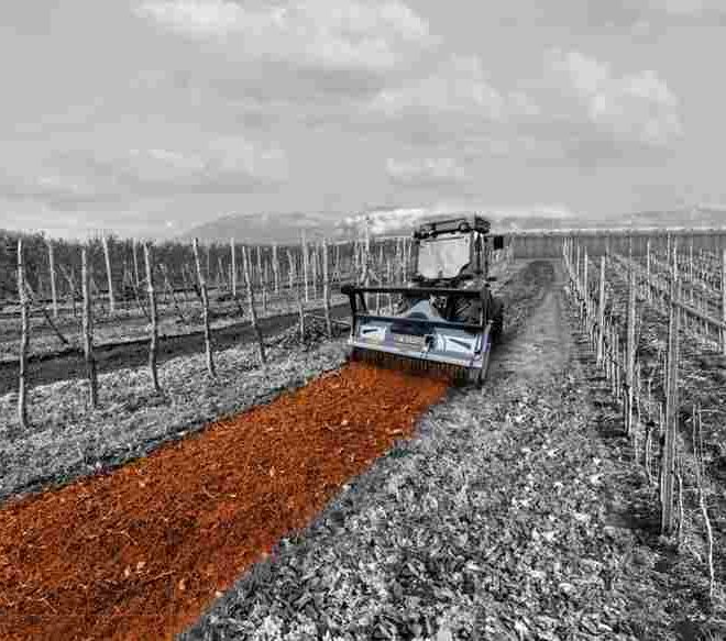 Forestry mulchers for tractors, skid steers, and excavators: which one to choose?