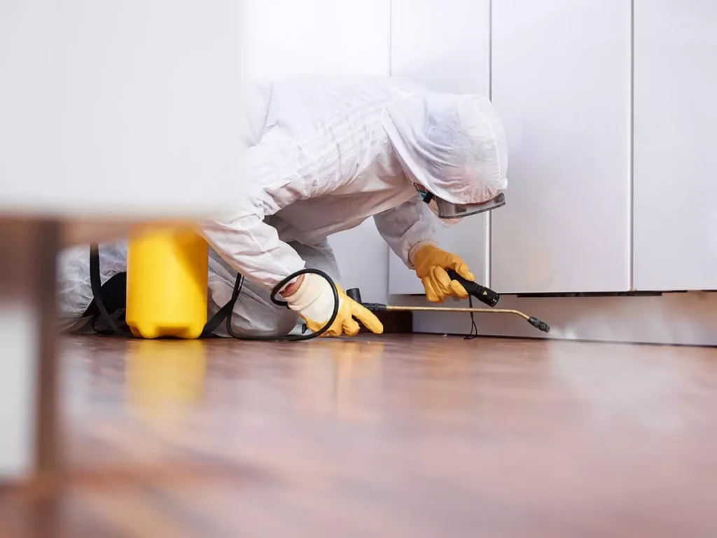 The Importance of Regular Pest Inspections for Homeowners