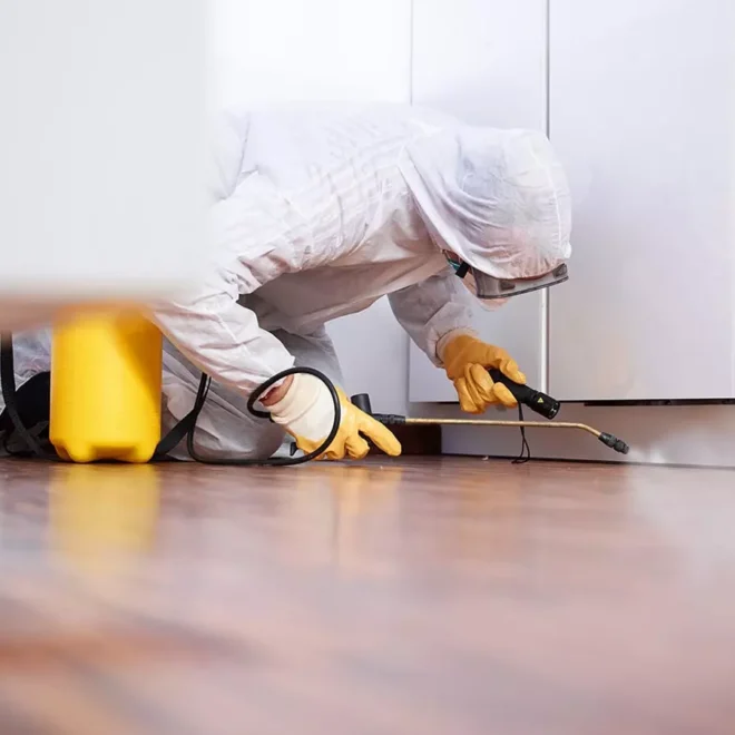The Importance of Regular Pest Inspections for Homeowners