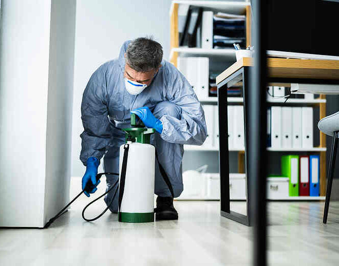 The Cost of Pest Infestations: Why You Should Call an Exterminator in Morristown, NJ