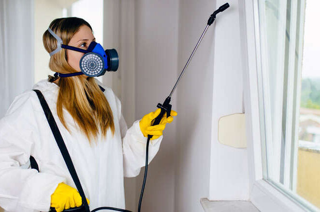 Prevent, Protect, and Maintain: Your Vancouver Pest Control Plan with Seaside Pest Control Inc.