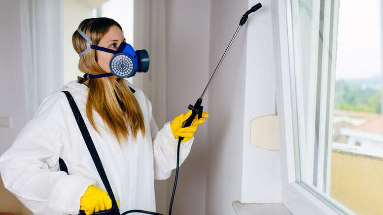 Your Vancouver Pest Control Plan with Seaside Pest Control Inc.