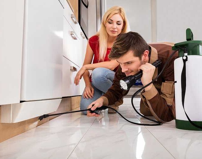 DIY Pest Control vs. Professional Services: Which is Right for Your Morris County Home?