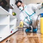 Strategies Pest Control Services Use to Prevent Termites in Cypress