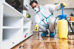 Strategies Pest Control Services Use to Prevent Termites in Cypress